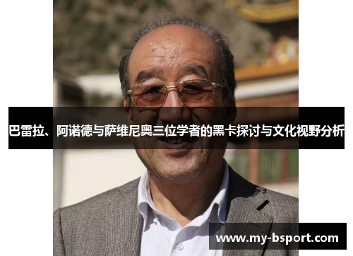 巴雷拉、阿诺德与萨维尼奥三位学者的黑卡探讨与文化视野分析