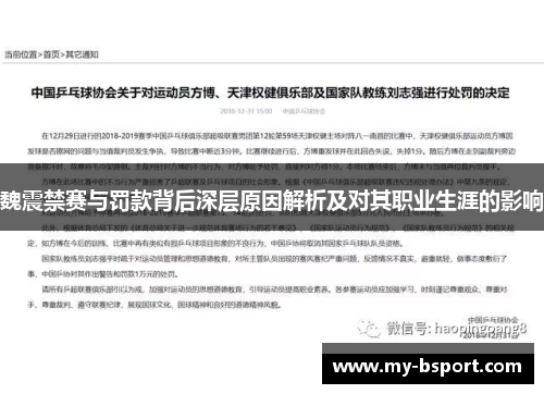 魏震禁赛与罚款背后深层原因解析及对其职业生涯的影响