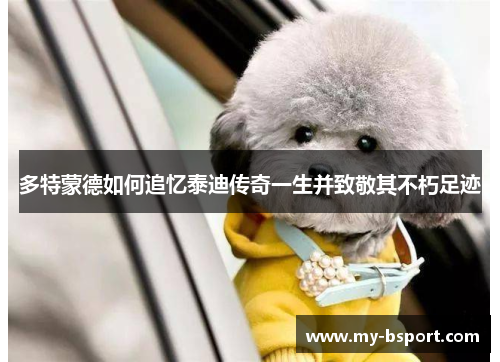 多特蒙德如何追忆泰迪传奇一生并致敬其不朽足迹