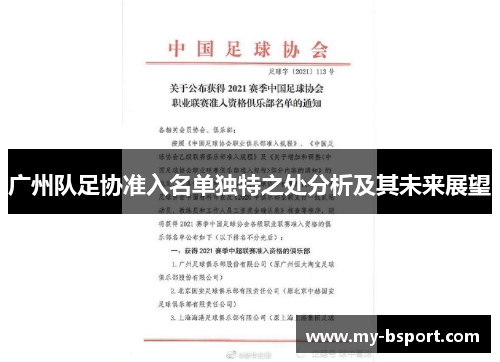 广州队足协准入名单独特之处分析及其未来展望