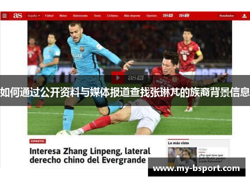 如何通过公开资料与媒体报道查找张琳芃的族裔背景信息