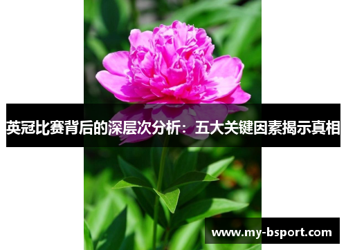 英冠比赛背后的深层次分析：五大关键因素揭示真相